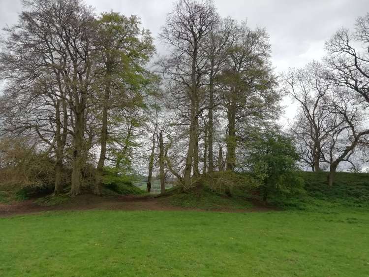 Ditches inside Caynham Camp
