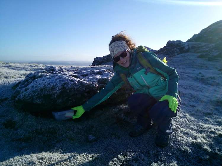 a letterbox hunter discovered a letterbox
