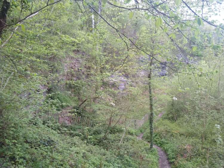 Knowles Quarry Wenlock Edge