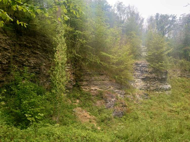 Knowles Quarry at Wenlock Edge