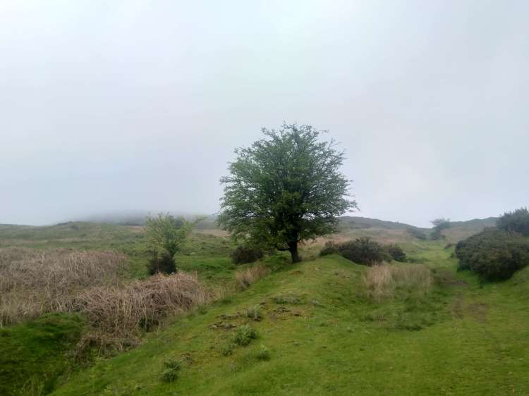 View up the incline to a foggy Titterstone Clee hill.