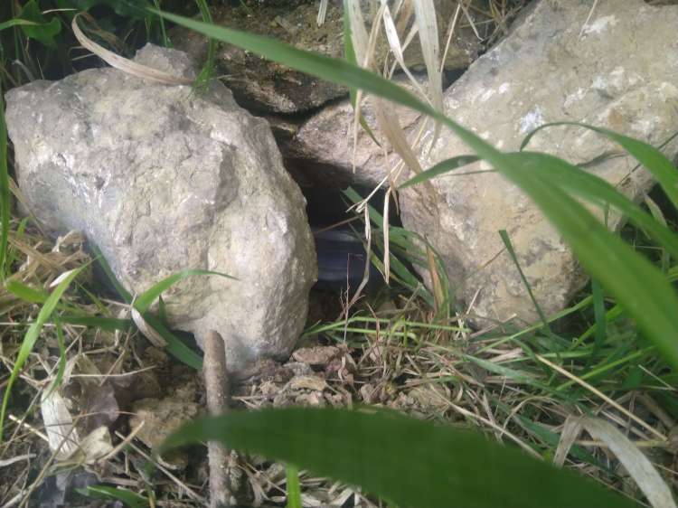 letterbox hiding behind rocks