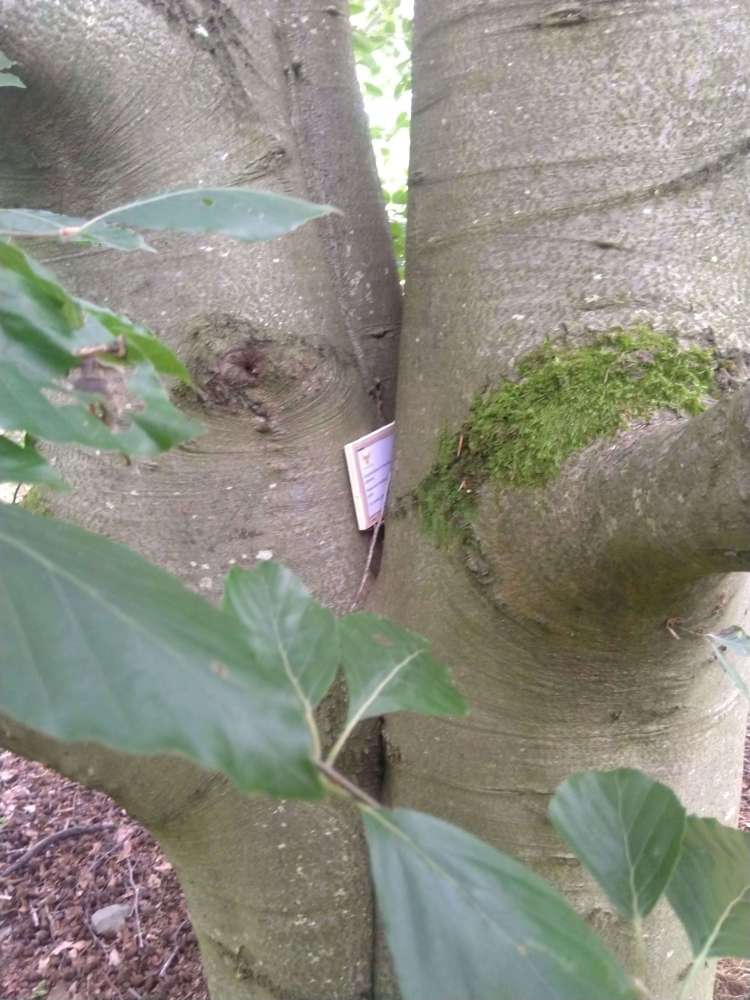 a hidden virtual letterbox