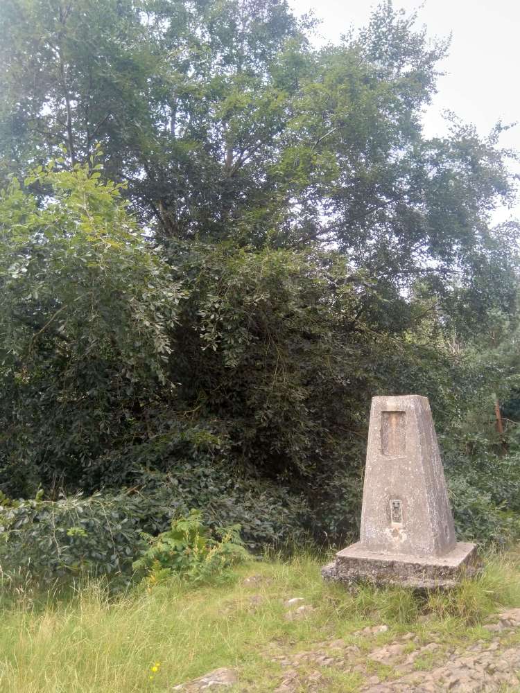 trigpoint at haughmond hill
