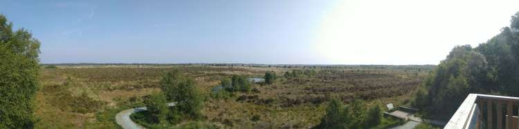 view of whixall mosses